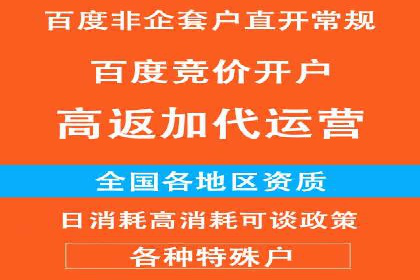 电商平台SEM推广的全过程解析